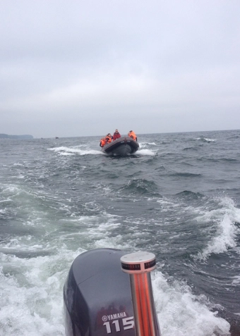 Oplæring i sejlads med RIB - Klik for at tilmelde dig